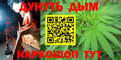 хмурый Кингисепп