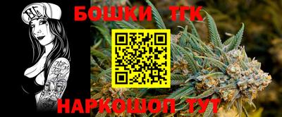 хмурый Кингисепп