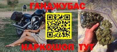 хмурый Кингисепп