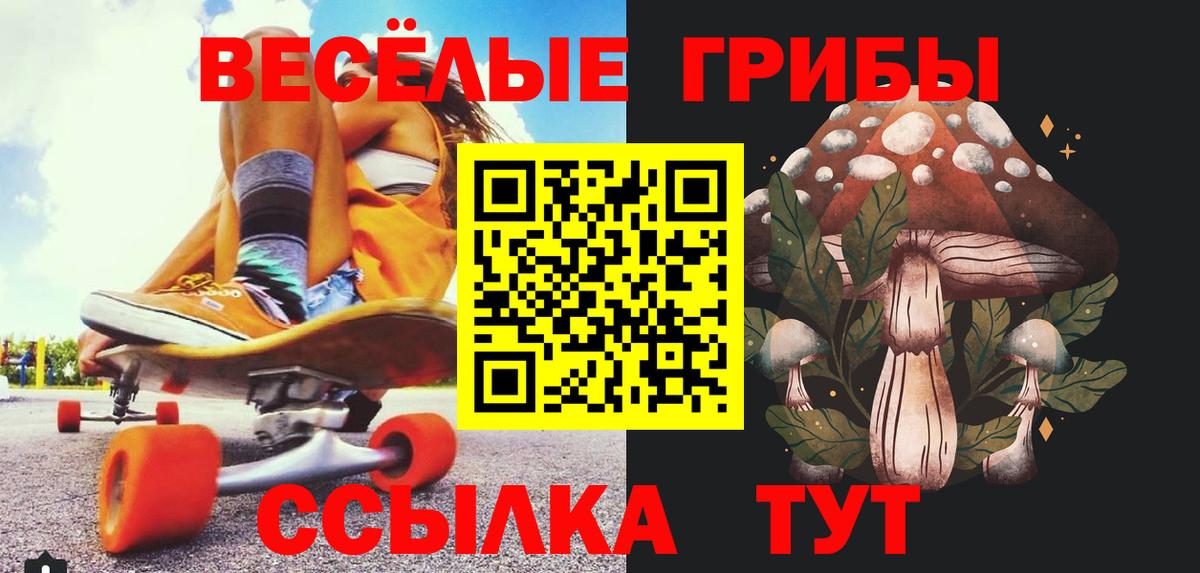 Галлюциногенные грибы GOLDEN TEACHER  Вход с VPN  купить наркоту  Лиски 